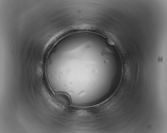 X0000115620392200911101420