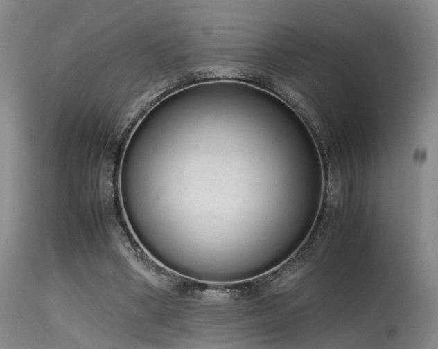 X0000115620394200911101420