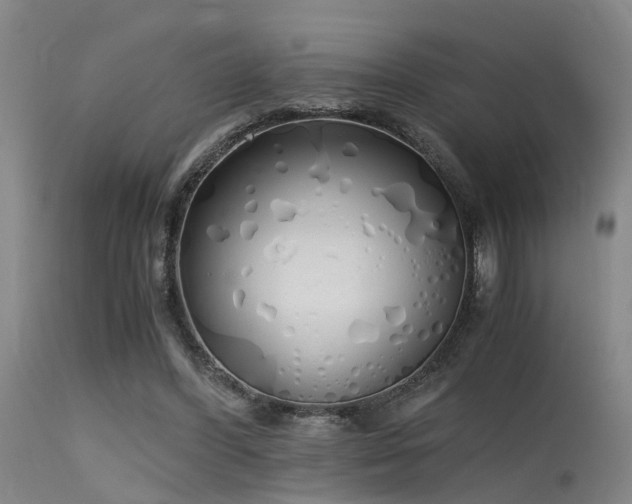 X0000115620396200911101420