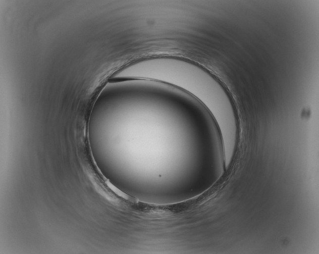 X0000115620397200911101420