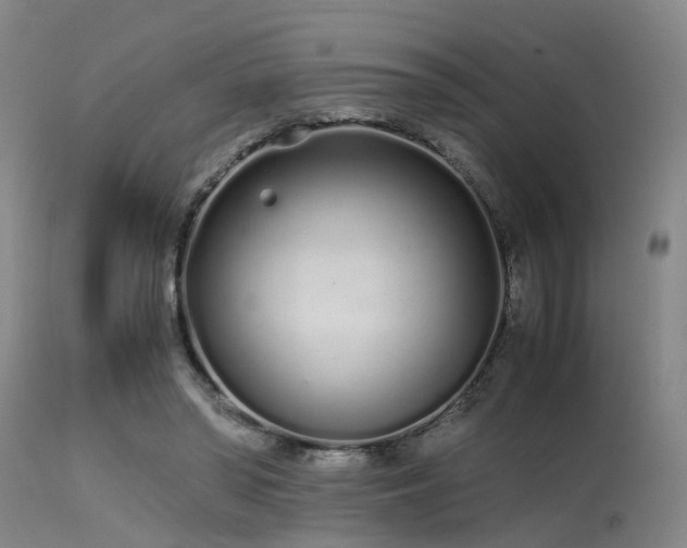 X0000115620398200911101420