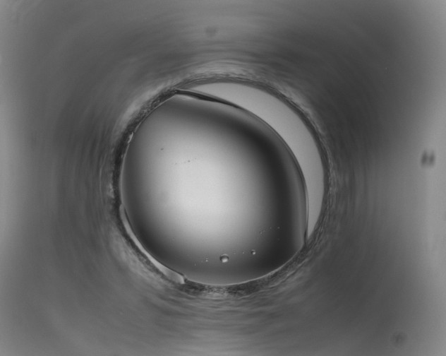 X0000115620399200911101420