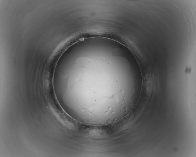 X0000115620400200911101420