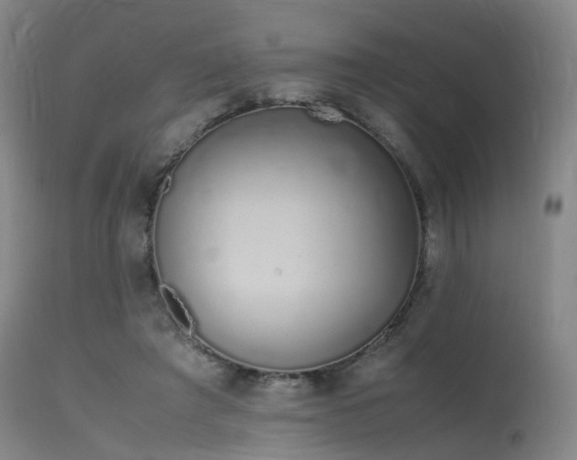 X0000115620401200911101420