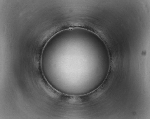 X0000115620402200911101420