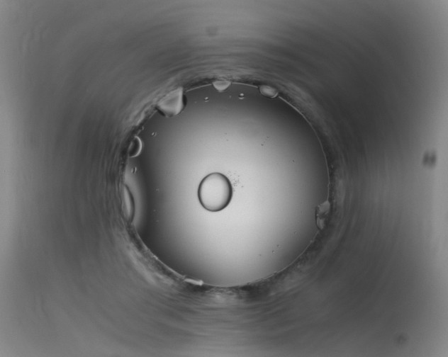 X0000115620405200911101420