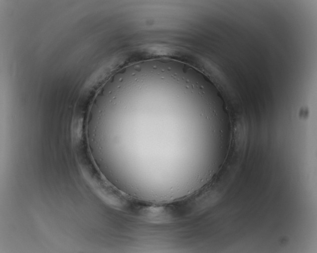 X0000115620406200911101420