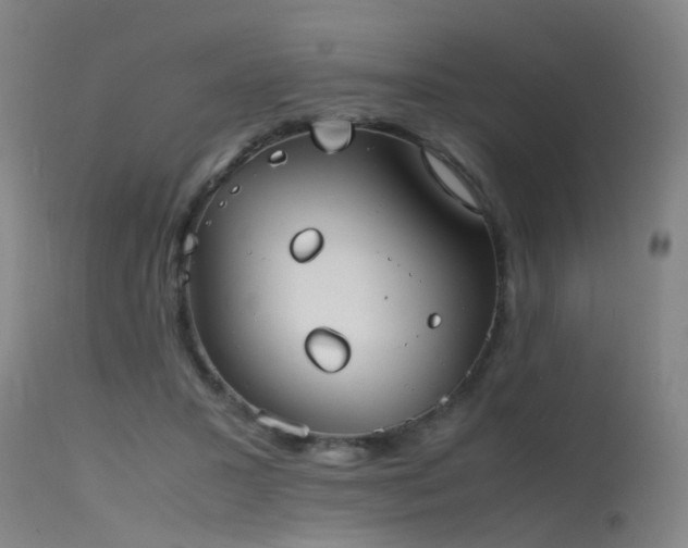 X0000115620407200911101420