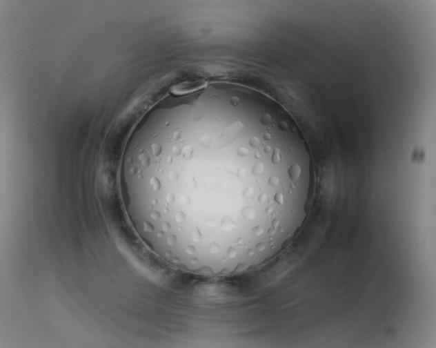 X0000115620408200911101420