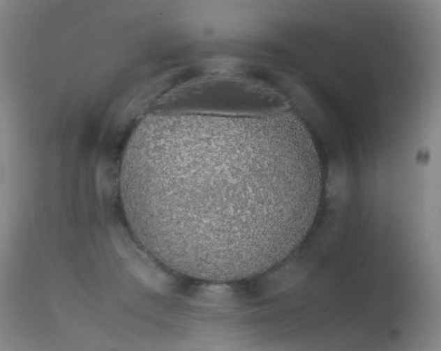 X0000115620409200911101420