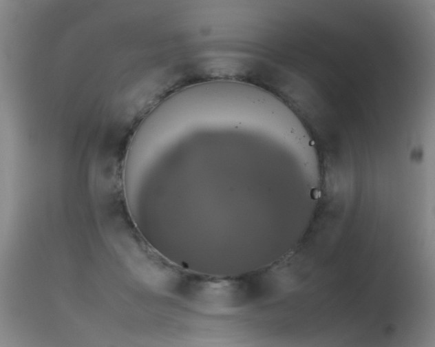 X0000115620411200911101419