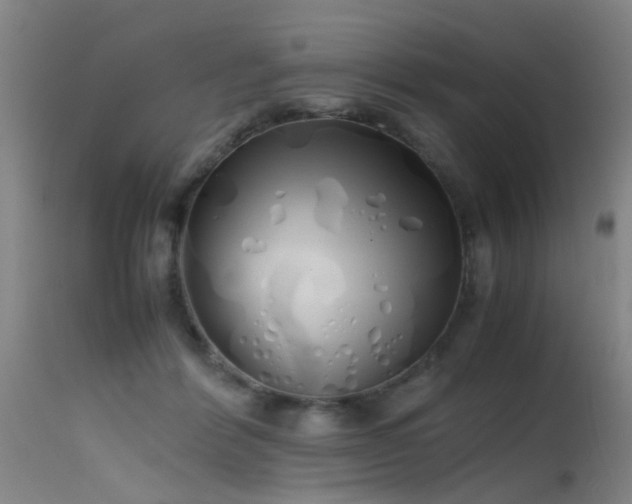 X0000115620412200911101419