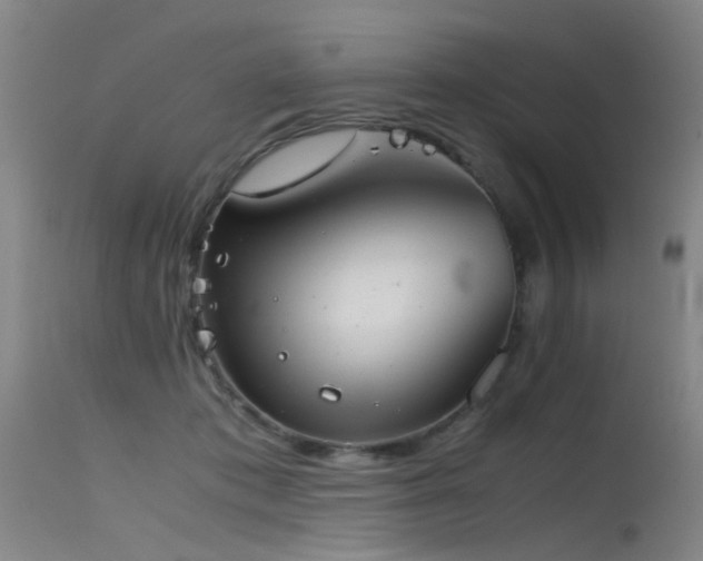 X0000115620413200911101419