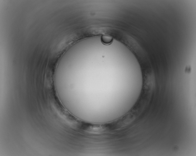 X0000115620414200911101419