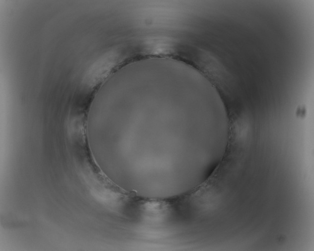 X0000115620415200911101419