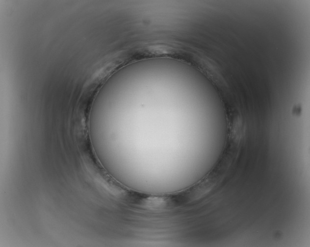 X0000115620418200911101419