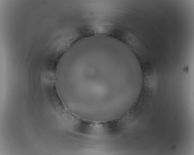 X0000115620419200911101419