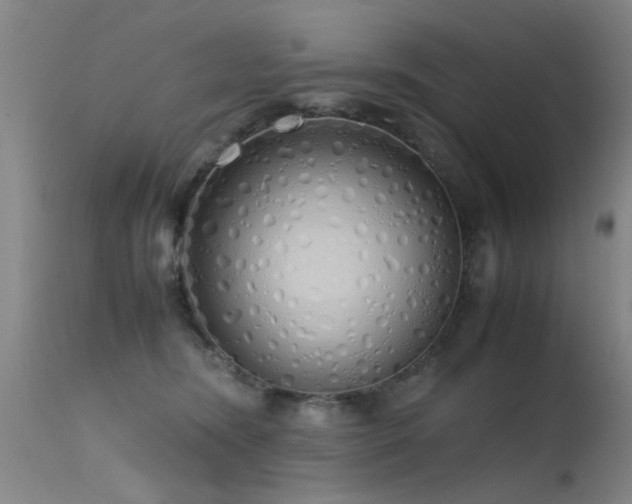 X0000115620420200911101419