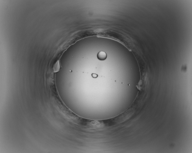 X0000115620421200911101419