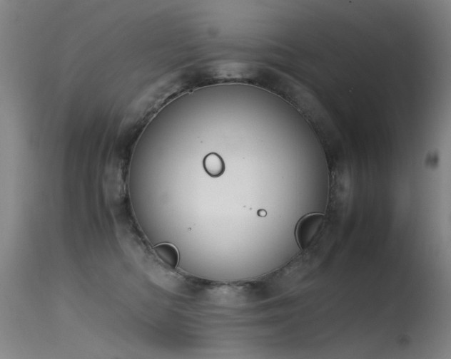 X0000115620422200911101419