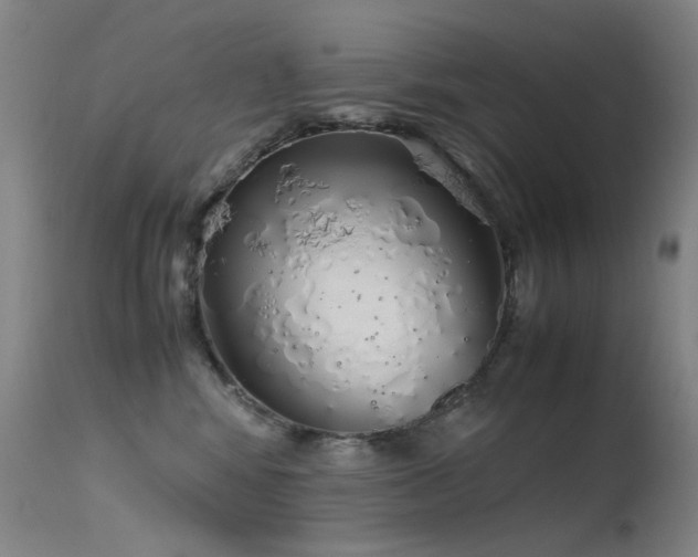 X0000115620424200911101419