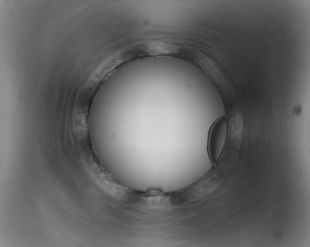 X0000115620426200911101419