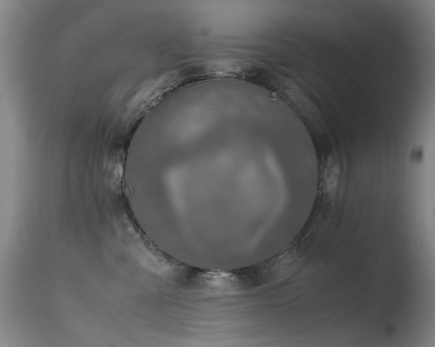 X0000115620427200911101419