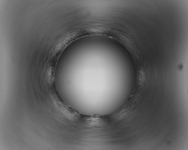 X0000115620428200911101419