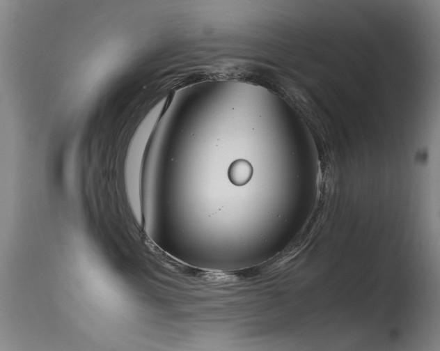 X0000115620429200911101419