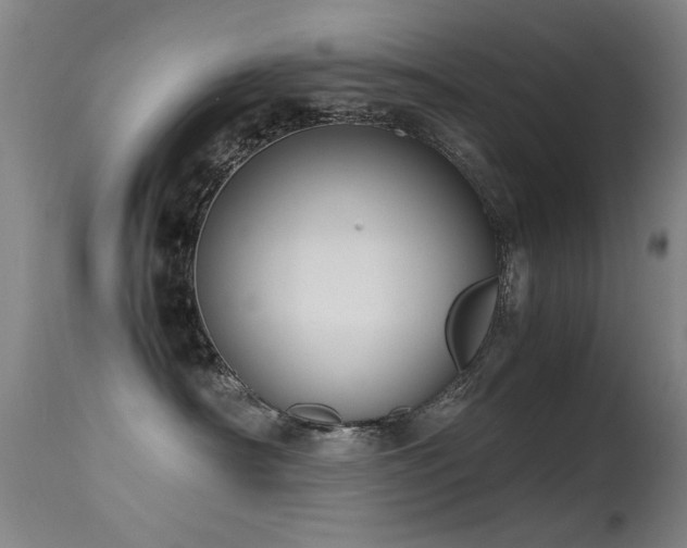 X0000115620430200911101419