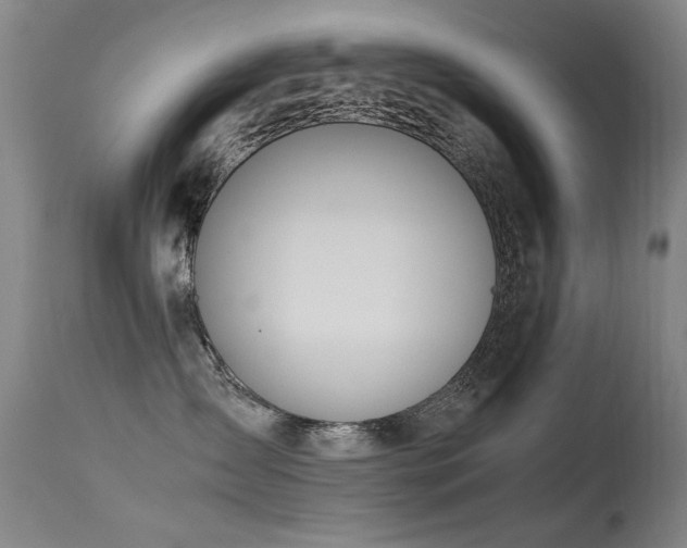 X0000115620431200911101419