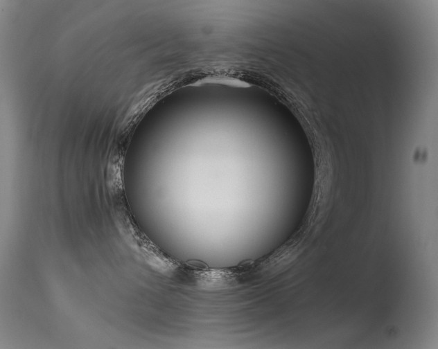 X0000115620432200911101419