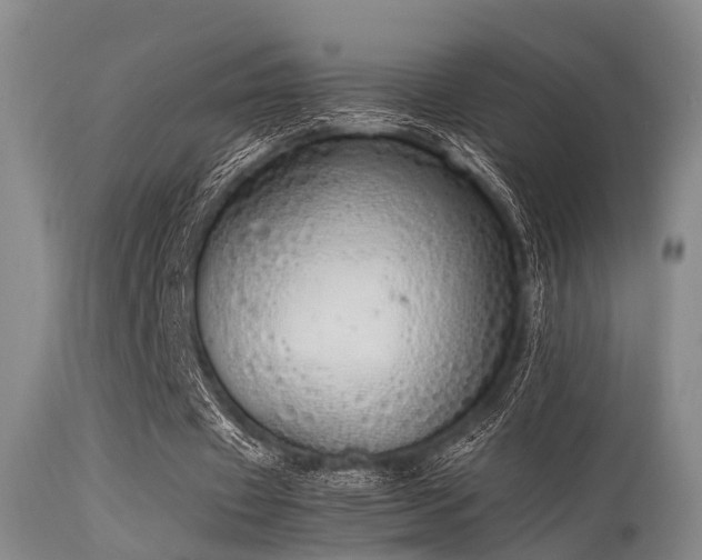 X0000115620433200911101419