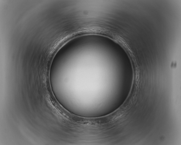 X0000115620434200911101419