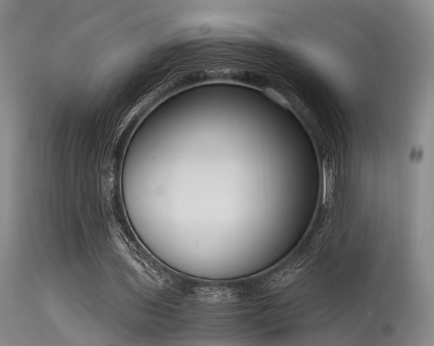 X0000115620435200911101419