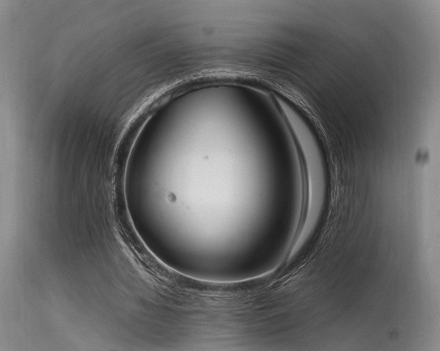 X0000115620436200911101419