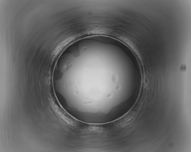 X0000115620437200911101419