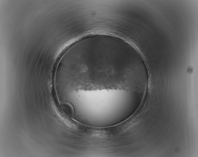 X0000115620438200911101419