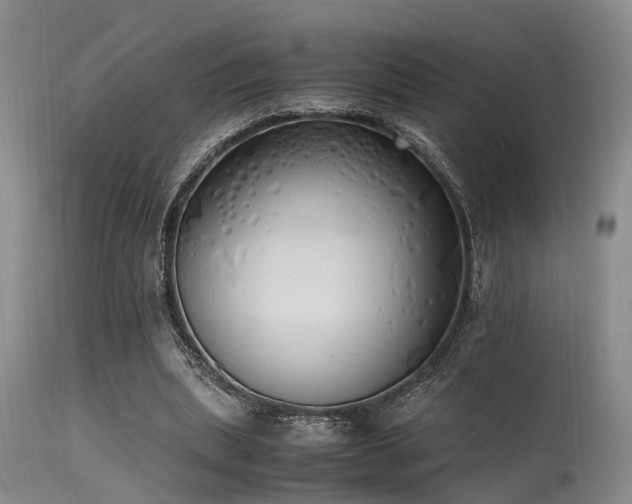 X0000115620439200911101419