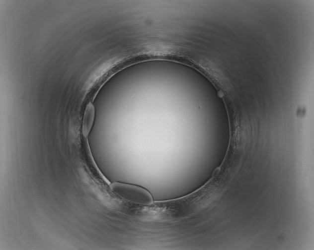 X0000115620440200911101419