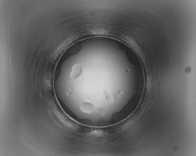 X0000115620441200911101419