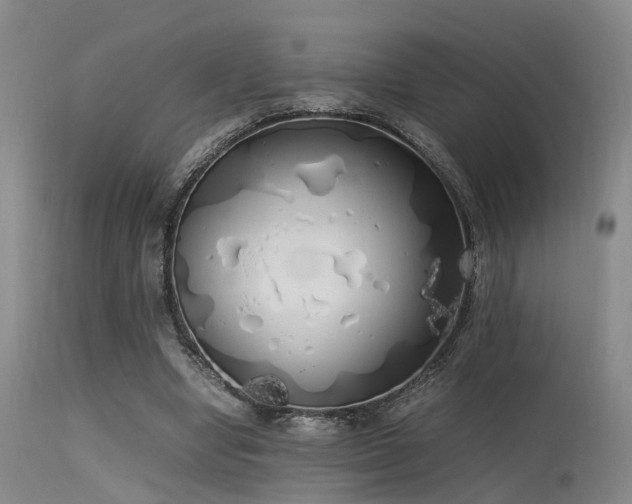 X0000115620442200911101419