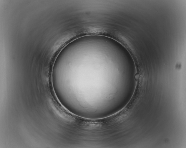 X0000115620443200911101419