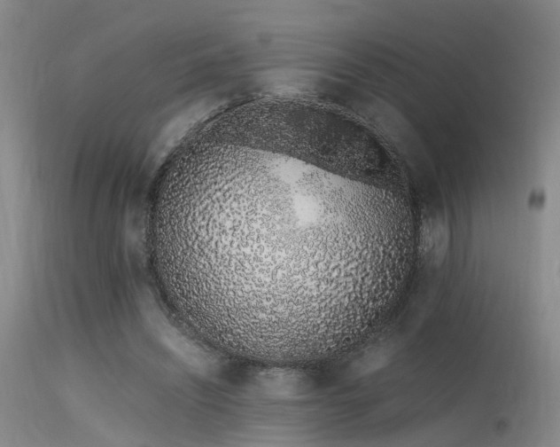 X0000115620444200911101419