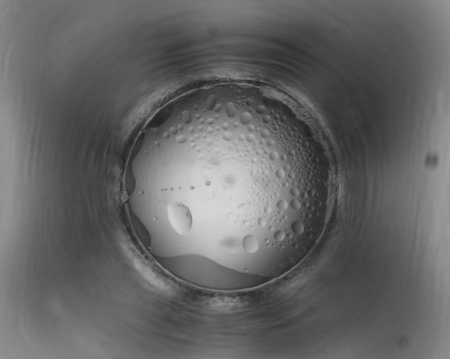 X0000115620445200911101419