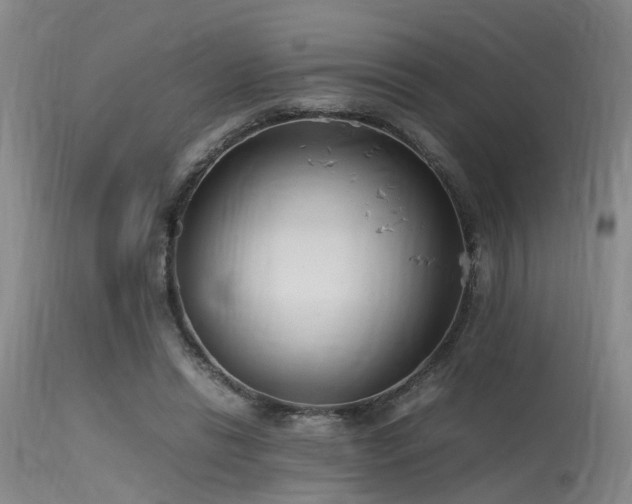 X0000115620446200911101419