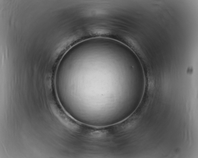 X0000115620447200911101419