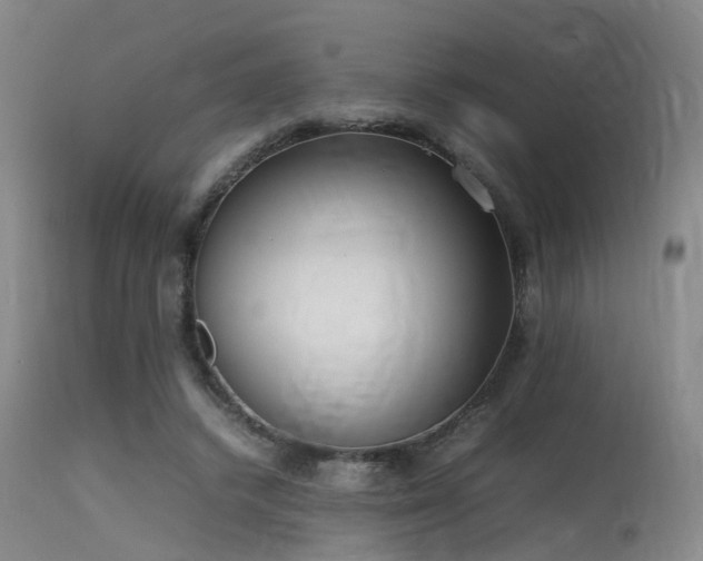 X0000115620448200911101419