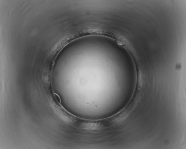 X0000115620449200911101419