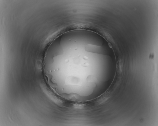 X0000115620450200911101419